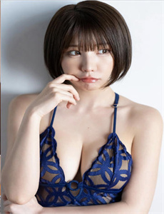 大明野史之锦衣狱