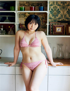 日本鬼子的飞机